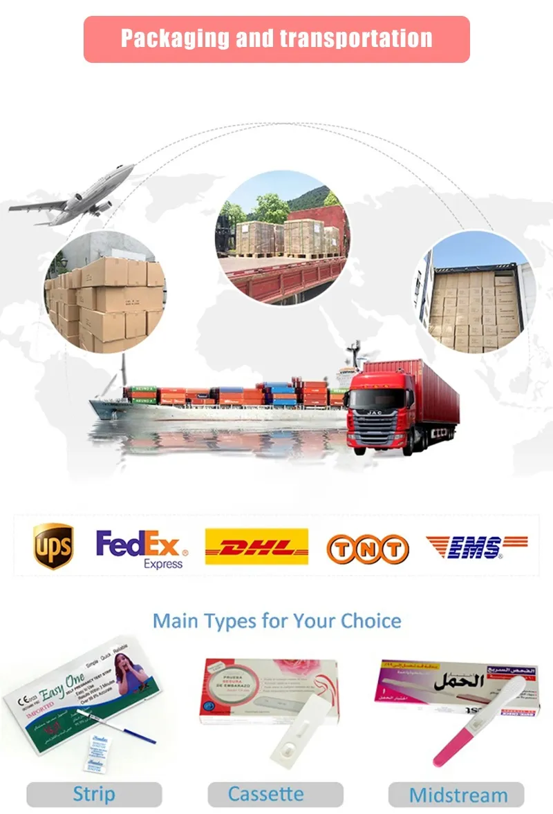 20 Early Pregnancy Test Papers with 20 Urine Cups Pregnancy Test Strips