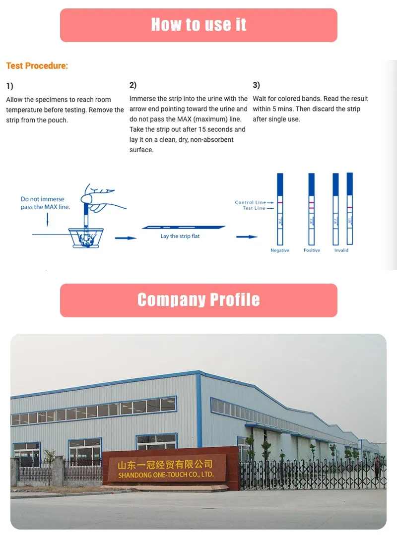 20 Early Pregnancy Test Papers with 20 Urine Cups Pregnancy Test Strips