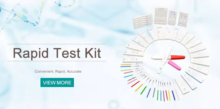 20 Early Pregnancy Test Papers with 20 Urine Cups Pregnancy Test Strips