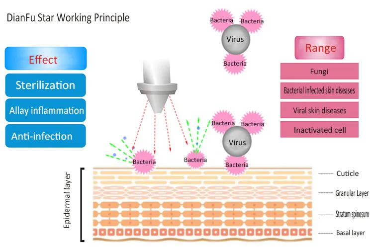 2018 Professional Multifunction Cosmetic Personal SPA Plasma Acne Treatment Machine