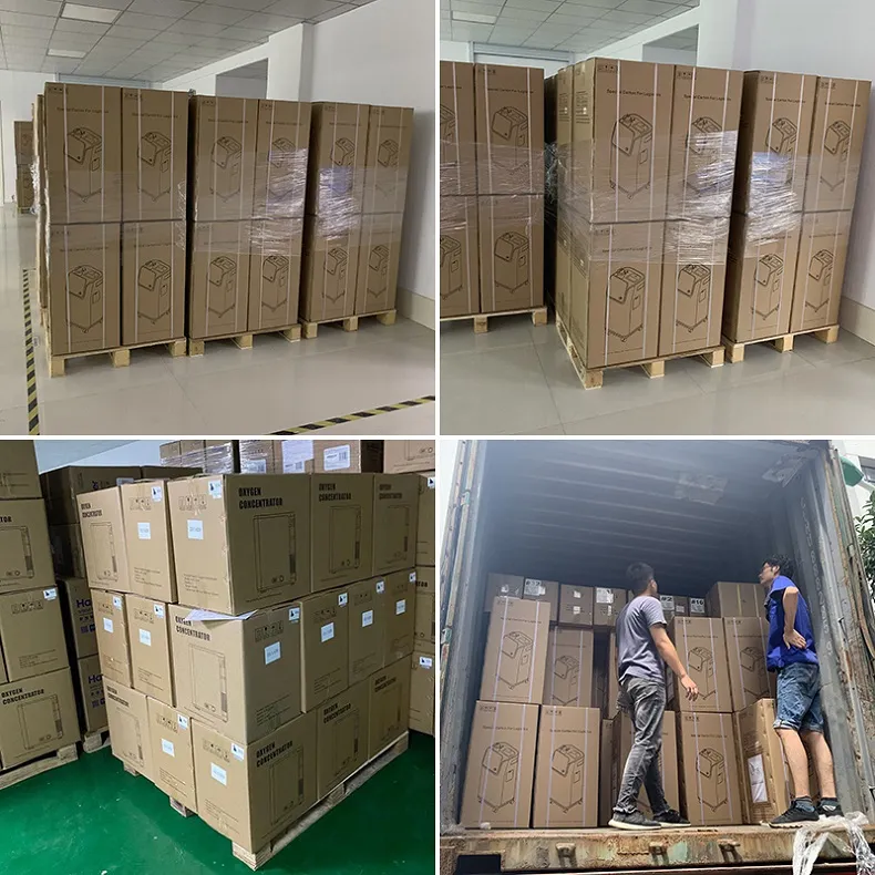 2021 High Quality Supplier Portable Oxygen Concentrator Oxygen Machine