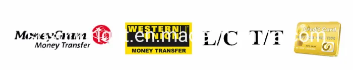 3D Full Digital 4D Veterinary Medical Best Equipment with Convex Probe