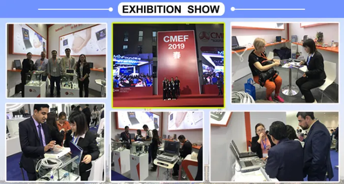 3D Full Digital 4D Veterinary Medical Best Equipment with Convex Probe