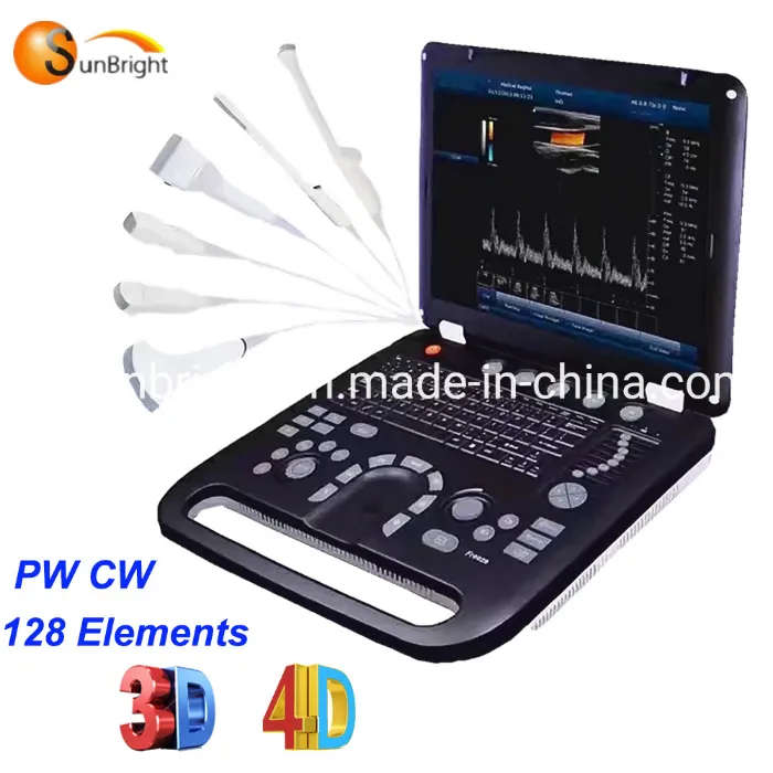 3D Full Digital 4D Veterinary Medical Best Equipment with Convex Probe