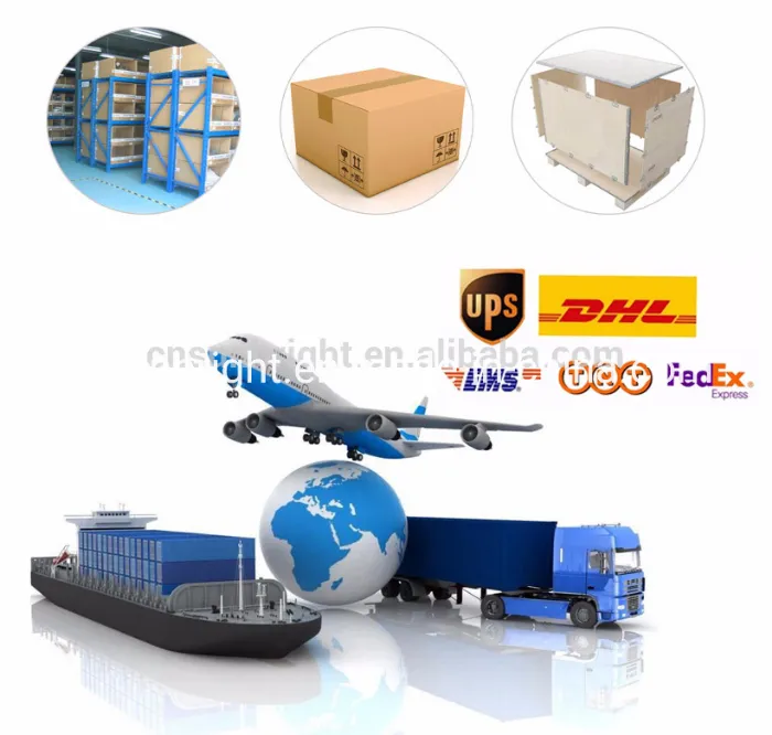 3D Full Digital 4D Veterinary Medical Best Equipment with Convex Probe