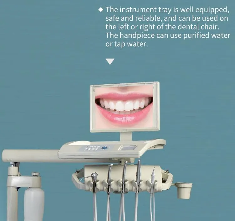 Biometer High Quality New Power System Rotatable Cushion LED Oral Lamp Dental Chair