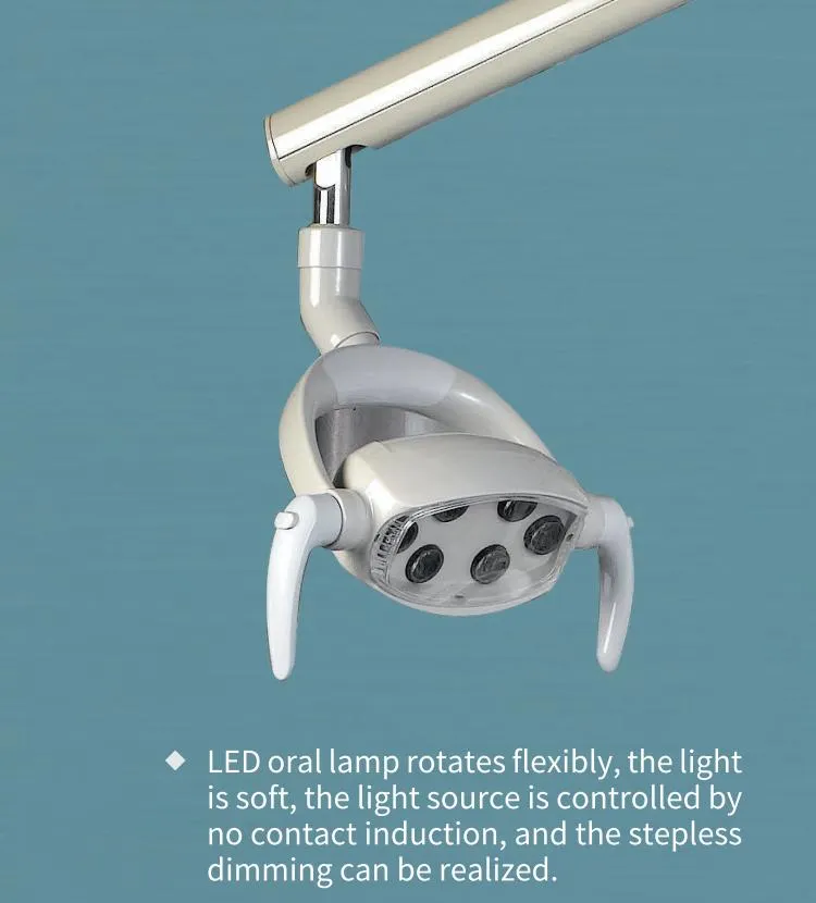 Biometer High Quality New Power System Rotatable Cushion LED Oral Lamp Dental Chair