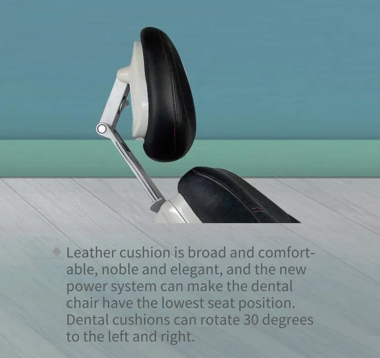 Biometer High Quality New Power System Rotatable Cushion LED Oral Lamp Dental Chair