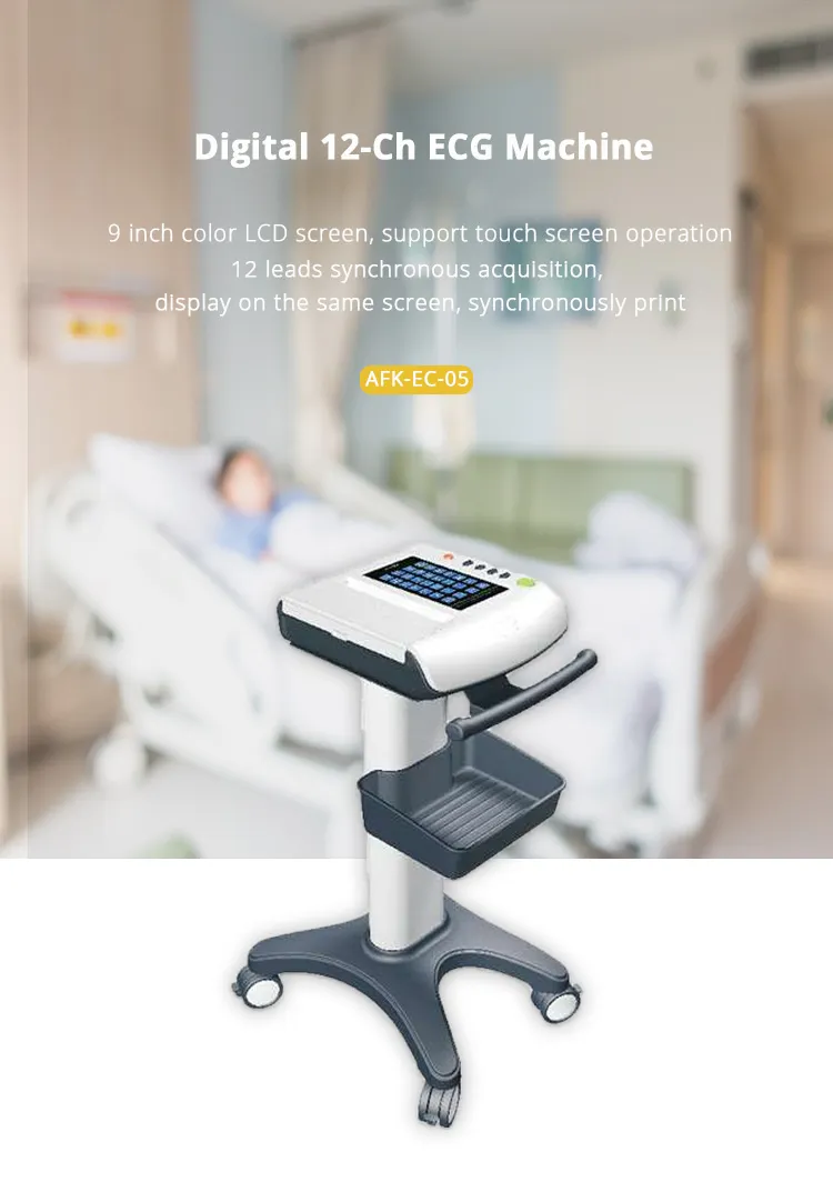 CE Marked Digital 12 Channel 12 Leads ECG Machine with ECG Printer