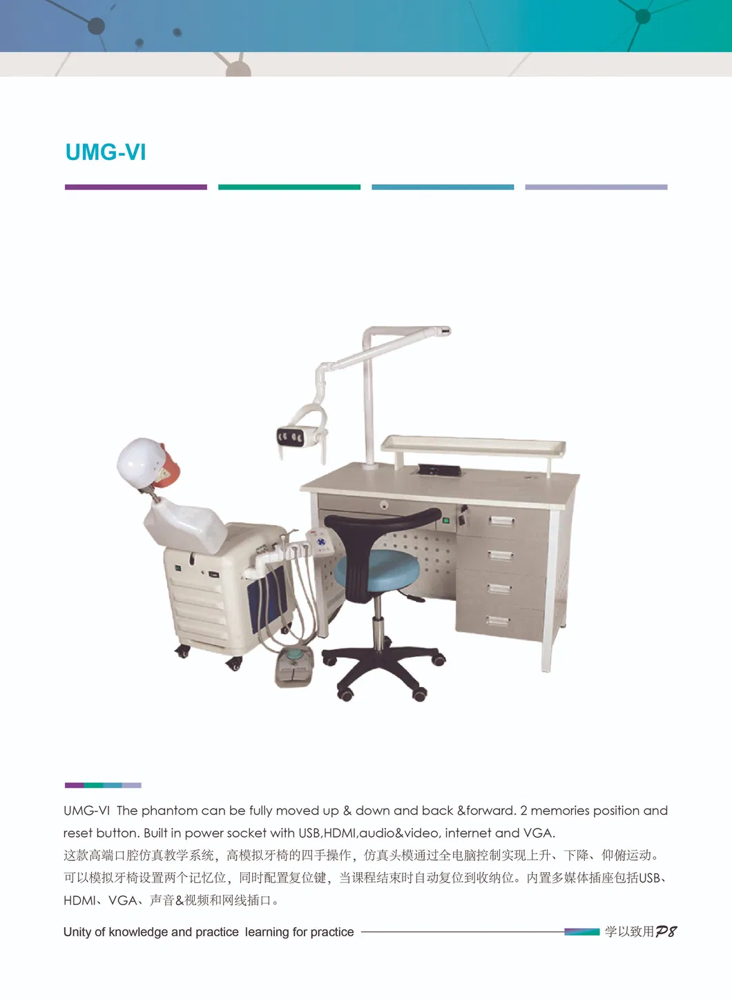 Chinese Dental Supplies Diagnostic Head Phantom From Umg