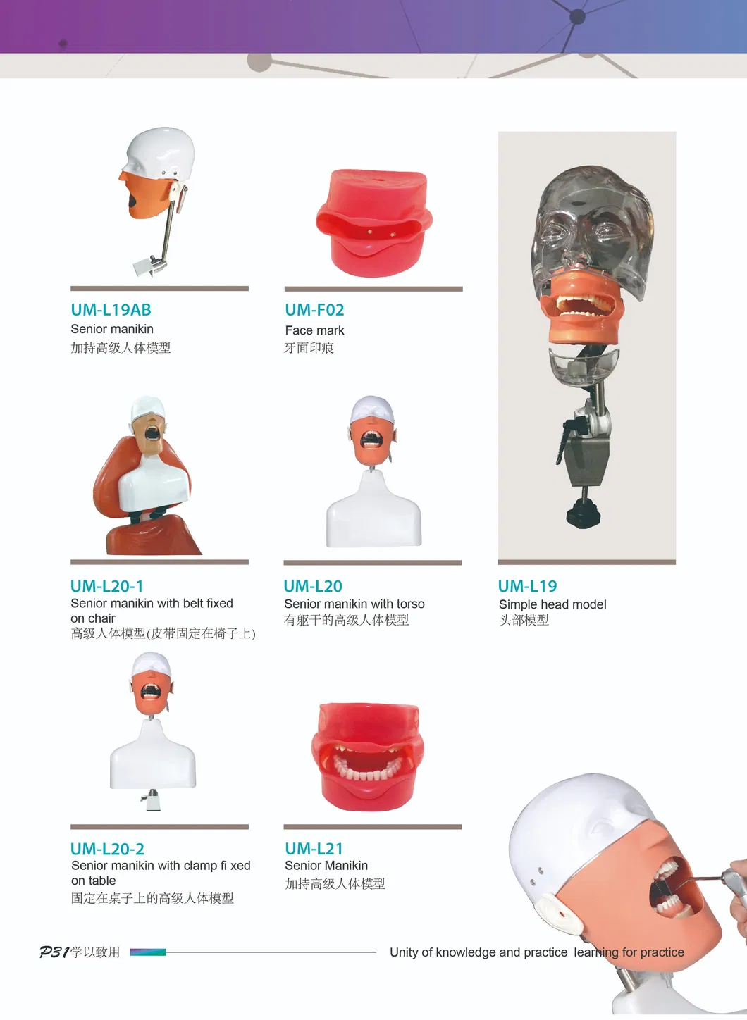 Chinese Dental Supplies Diagnostic Head Phantom From Umg