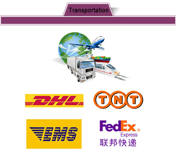 Chinese Dental Supplies Silicone Dental Putty