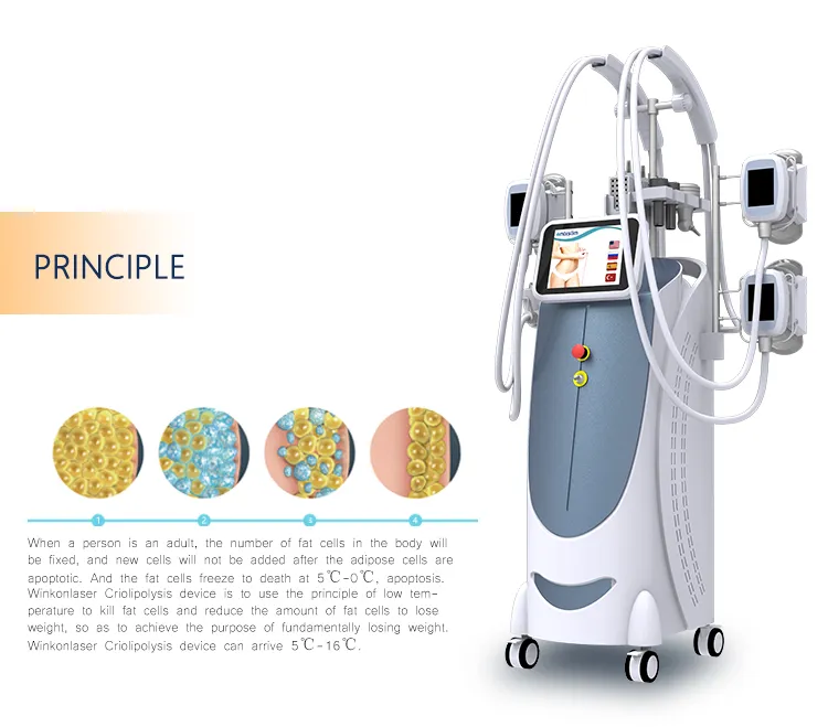 Cryo Cold Lipolysis Machine Freeze Fat 360 Body Shaping Beauty Slimming Machine