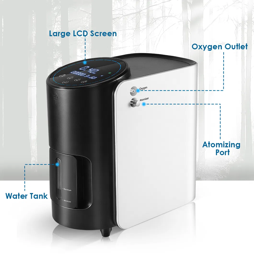 Electrical Classification II Electric Amazon Oxygen Concentrator 1L Oxigen Generator