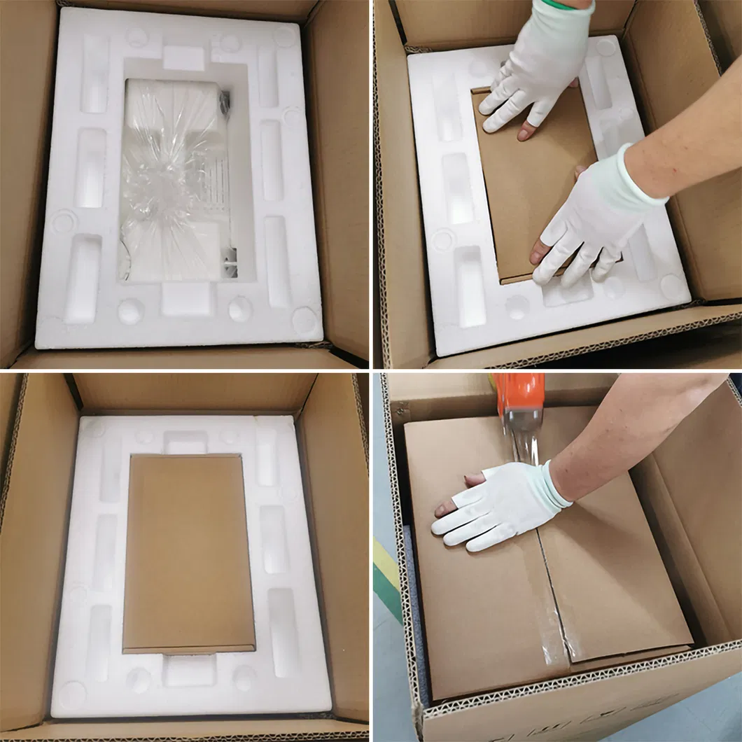 Electrical Classification II Electric Amazon Oxygen Concentrator 1L Oxigen Generator