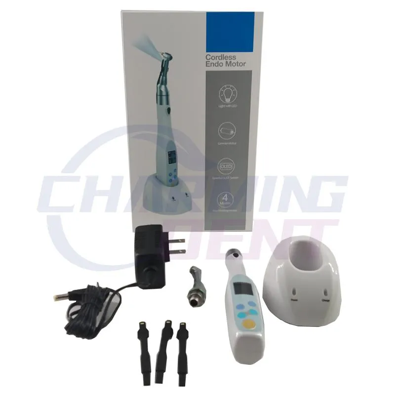 Endodontic Rotary Instruments R-Smart Mini LED Reborn Dental Wireless Endo Motor Reciprocating Endodontic Motor with LED Light