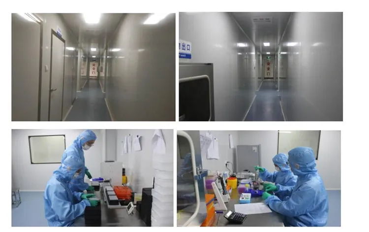 Fast Delivery 45 Feet Medical Equipment of The P3 Type PCR Mobile Laboratory