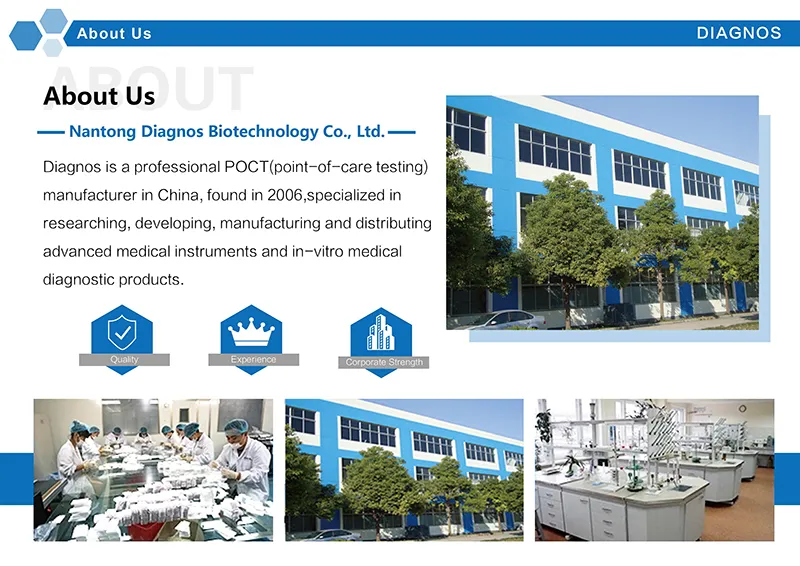 Feces Test/H. Pylori Test/H-Pylori Antigen Rapid Test