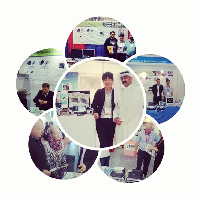 Full Digital 3D Portable Color Doppler with 7.5 MHz Linear Transducer