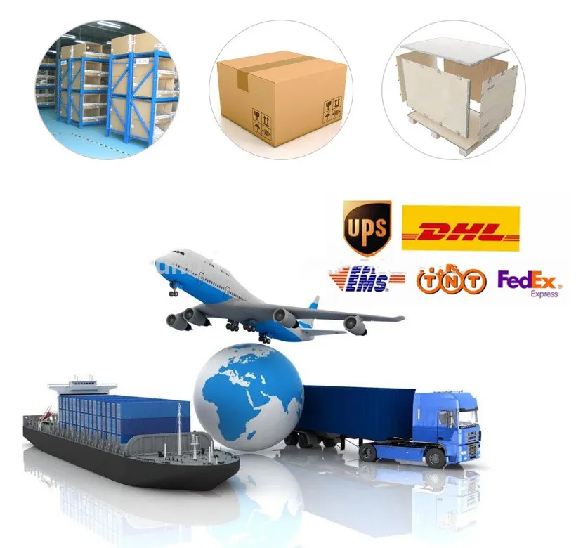 Full Digital 3D Portable Color Doppler with 7.5 MHz Linear Transducer