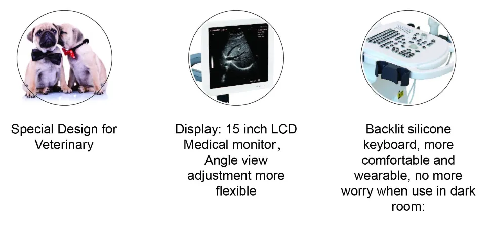Full Digital B&W Trolley Vet Ultrasound Scanner with PC Platform