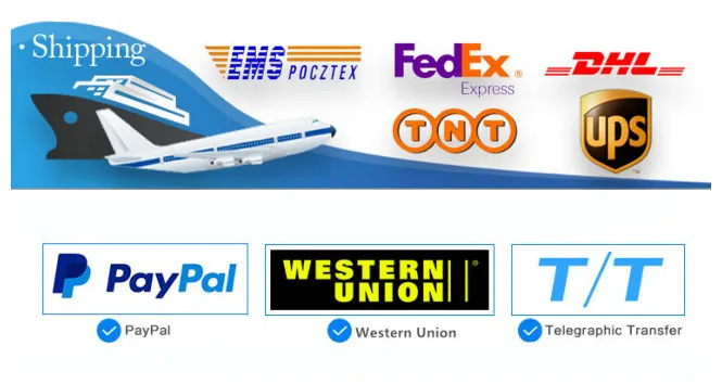 Full Digital B&W Trolley Vet Ultrasound Scanner with PC Platform