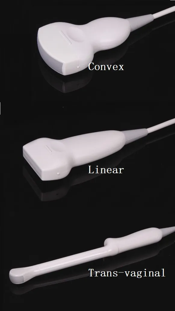 Full Digital Professional Digital Ultrasound Scanner Trolley Price