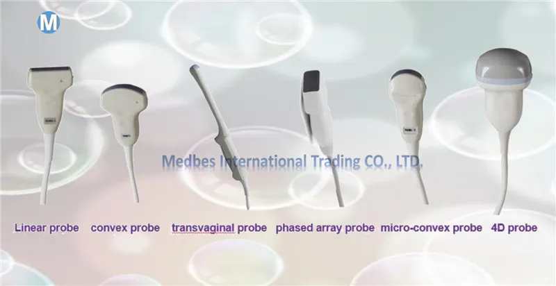 Full-Digital Tissue Harmonic Imaging (THI) 4D Color Ultrasound Scanner