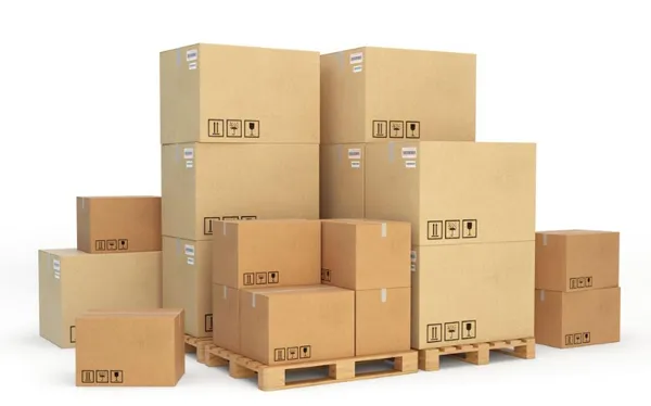 Gynecology and Obstetrics Equipment Portable Electronic Digital Colposcope