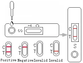 H. Pylori Antigen Stool Rapid Test Reagent