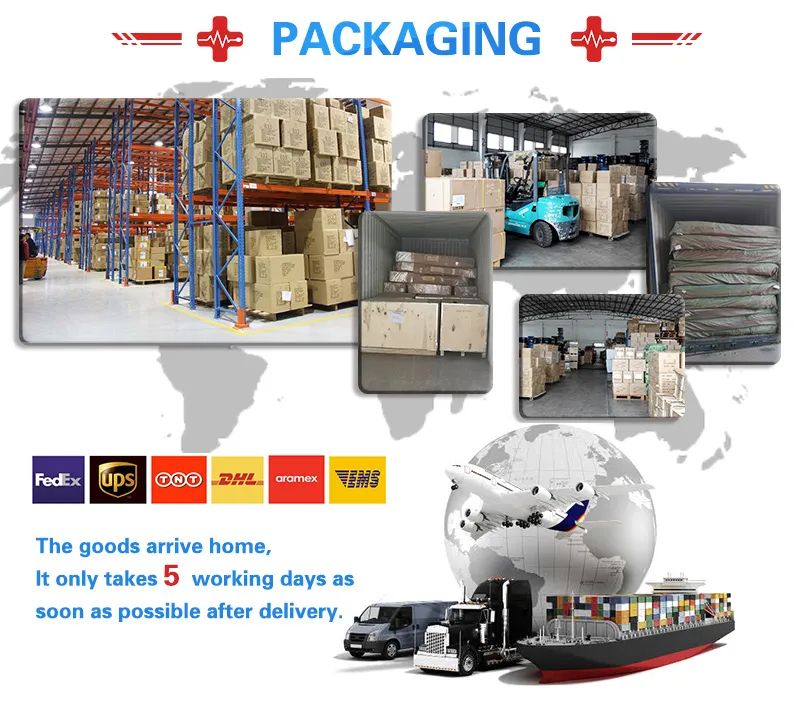 Hc-B025b Laboratory Equipment Gel Ducoment Imaging System Gel Documentation System