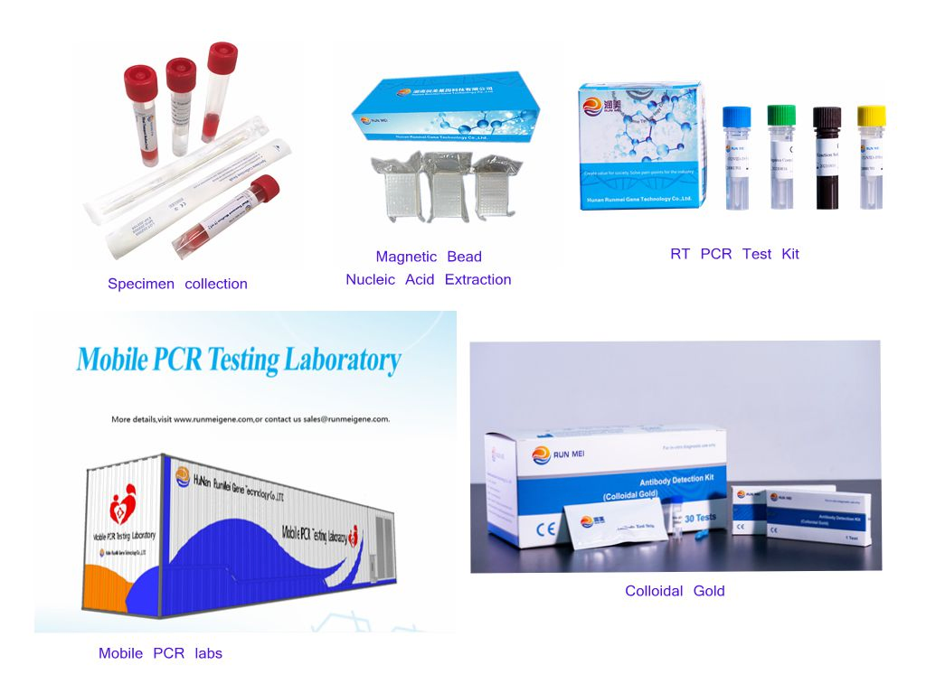 High Sensitivity Igm Detection Elisa Antibody Test, Detect Igm Elisa