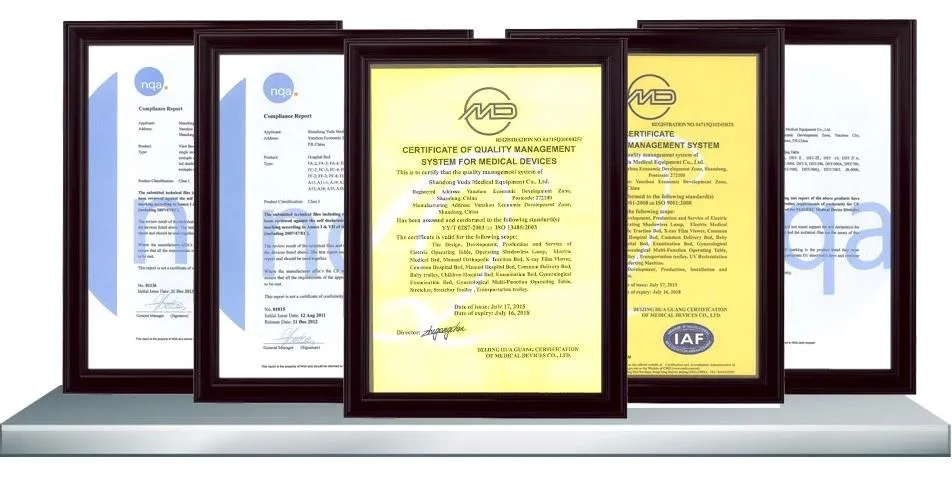 Hochey Medical High Quality Cerebrovascular Analysis Bone Mineral Density Analysis Human Body Elements Analyser Big Size