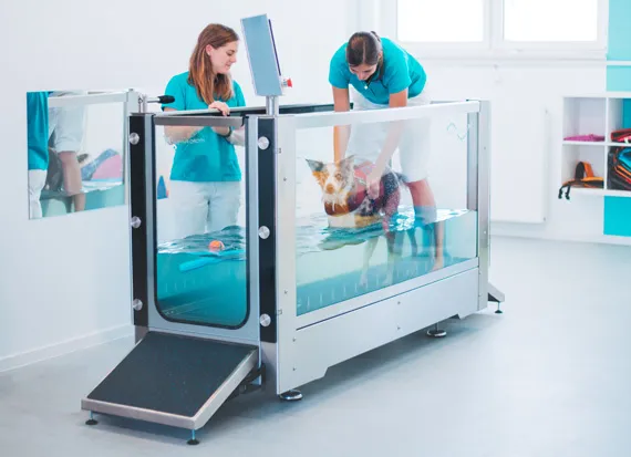 Hospital Care Equipment Fitness Machine Human Motorized Under Water Treadmill for Physiotherapy Rehabilitation Use