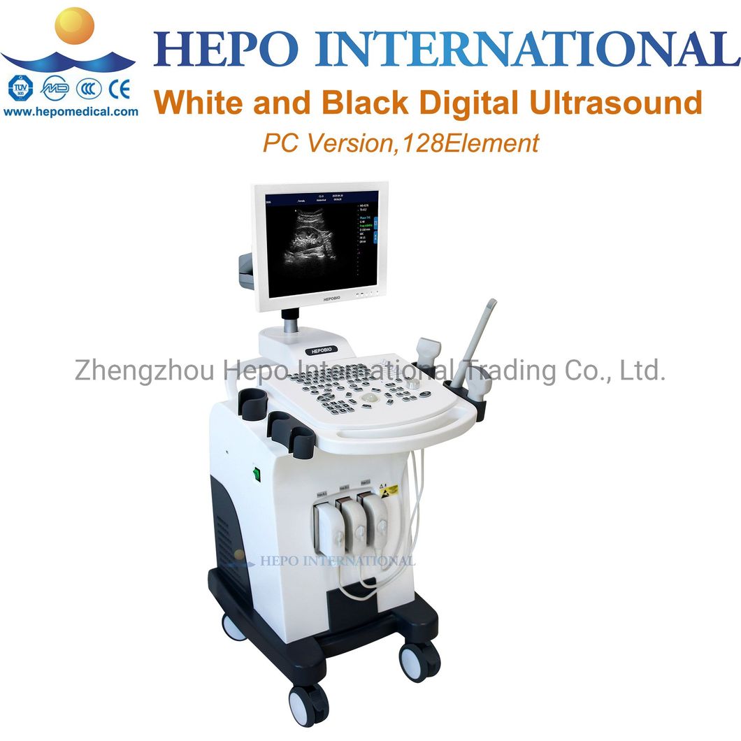 Hospital Portable Medical Ultrasound Scanner 3D 4D Color Doppler Machine