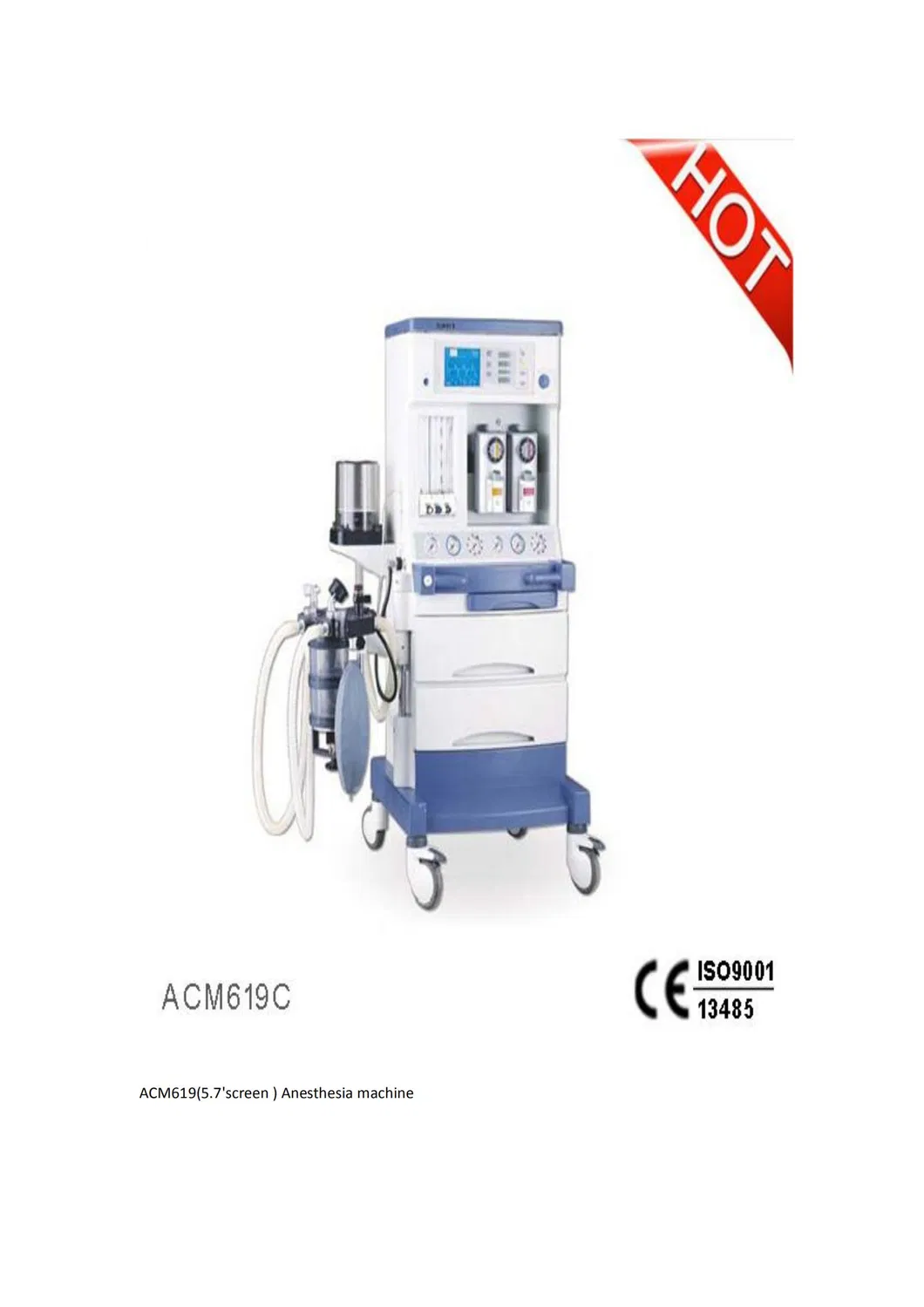 Hot Selling CE Marked Veterinary Clinic Anesthesy Anesthesia Machine Price for Sale