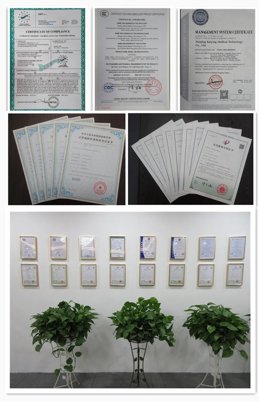 LED Display for Mammography Imaging