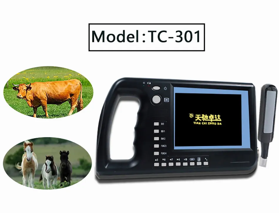 Low Price Rectal Probe Oxen and Horses Goats Cattle Dogs for Donkey