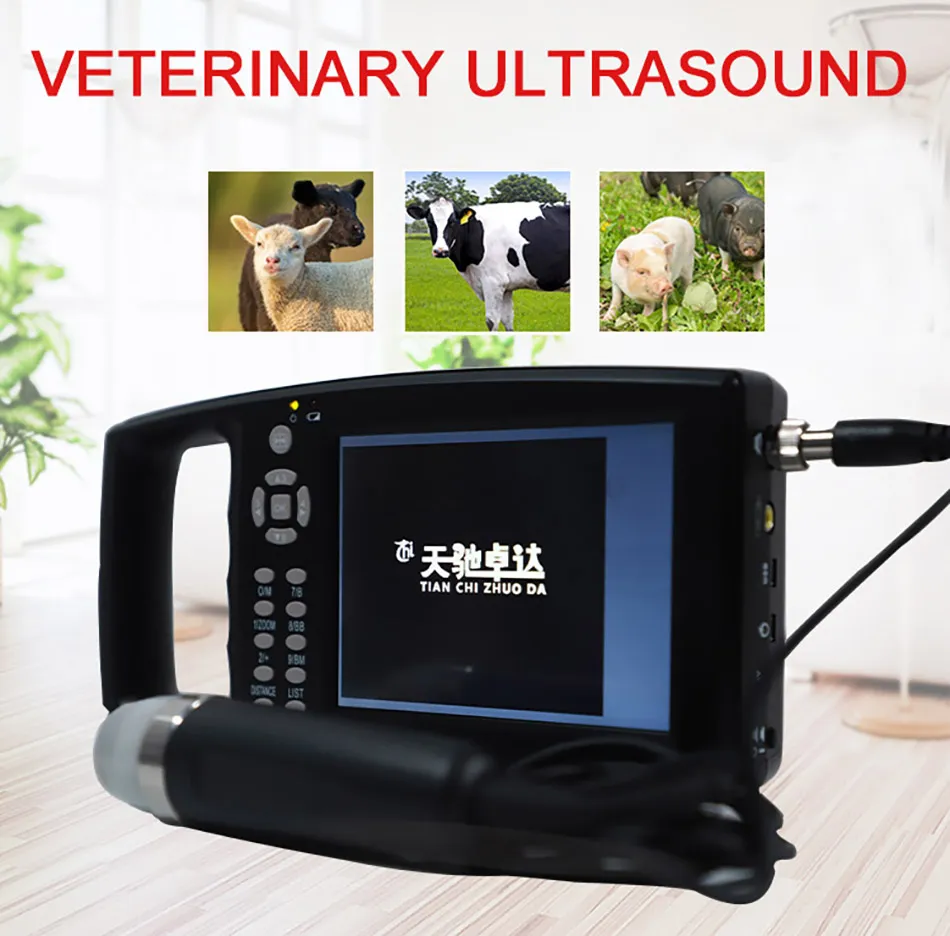 Low Price Rectal Probe Oxen and Horses Goats Cattle Dogs for Donkey