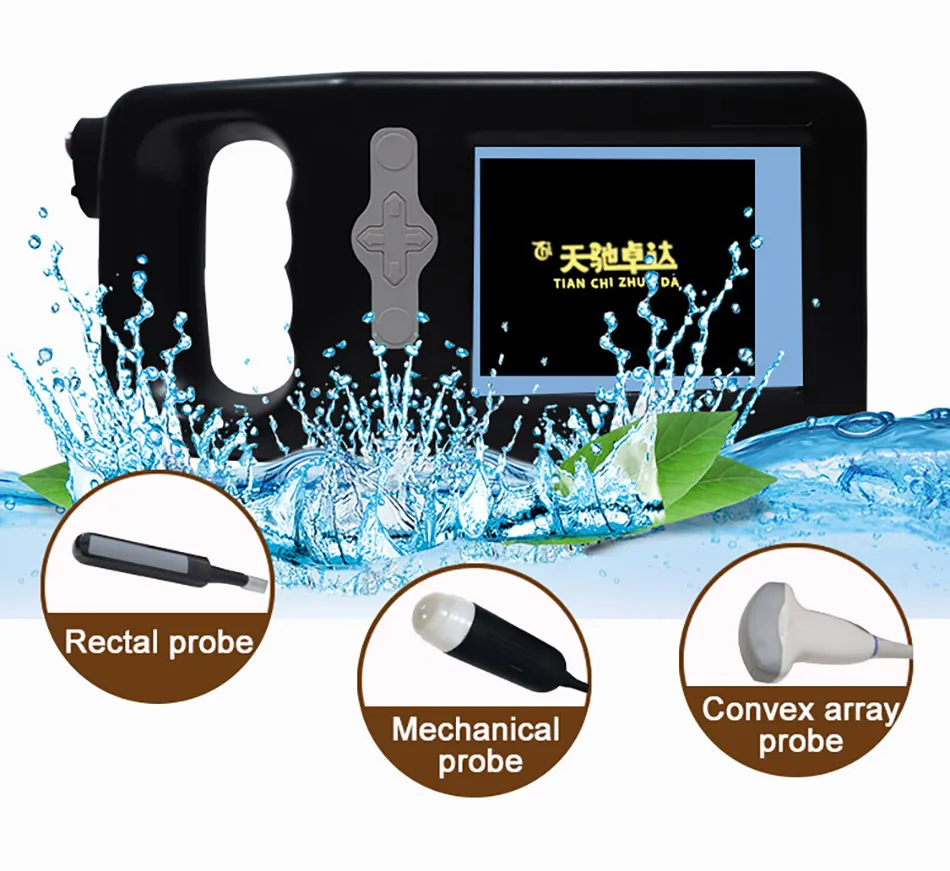 Low Price Rectal Probe Oxen and Horses Goats Cattle Dogs for Donkey