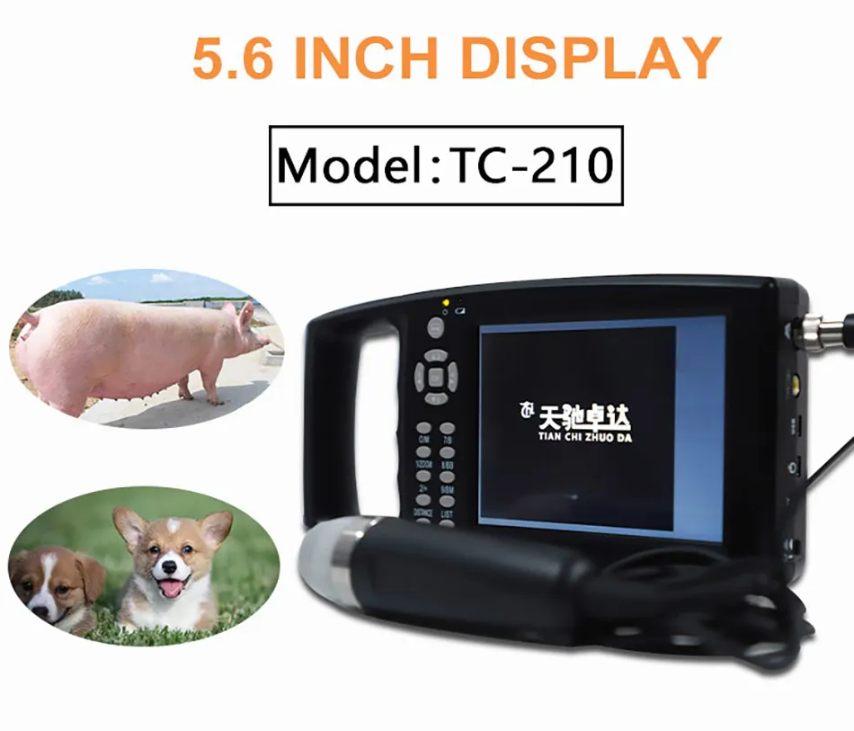 Low Price Rectal Probe Oxen and Horses Goats Cattle Dogs for Donkey