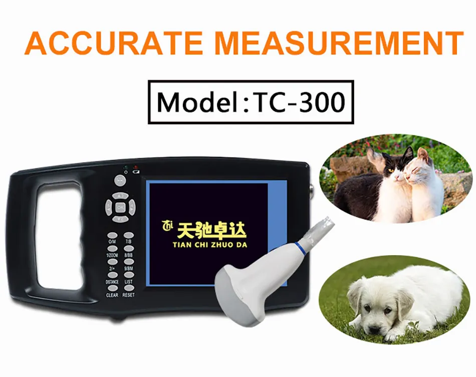 Low Price Rectal Probe Oxen and Horses Goats Cattle Dogs for Donkey