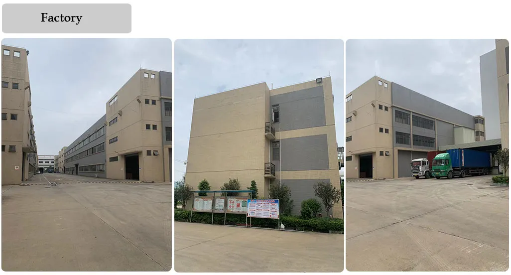 Maternal Monitor with Ctg Review, Playback and Fast Printing Functions