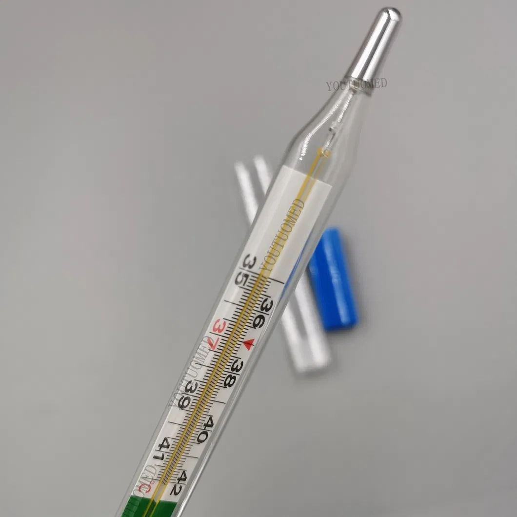 Mercury-Free Electronic Thermometer Armpit Clinical Thermometer Pharmacy Medical Ec Certificate Digital