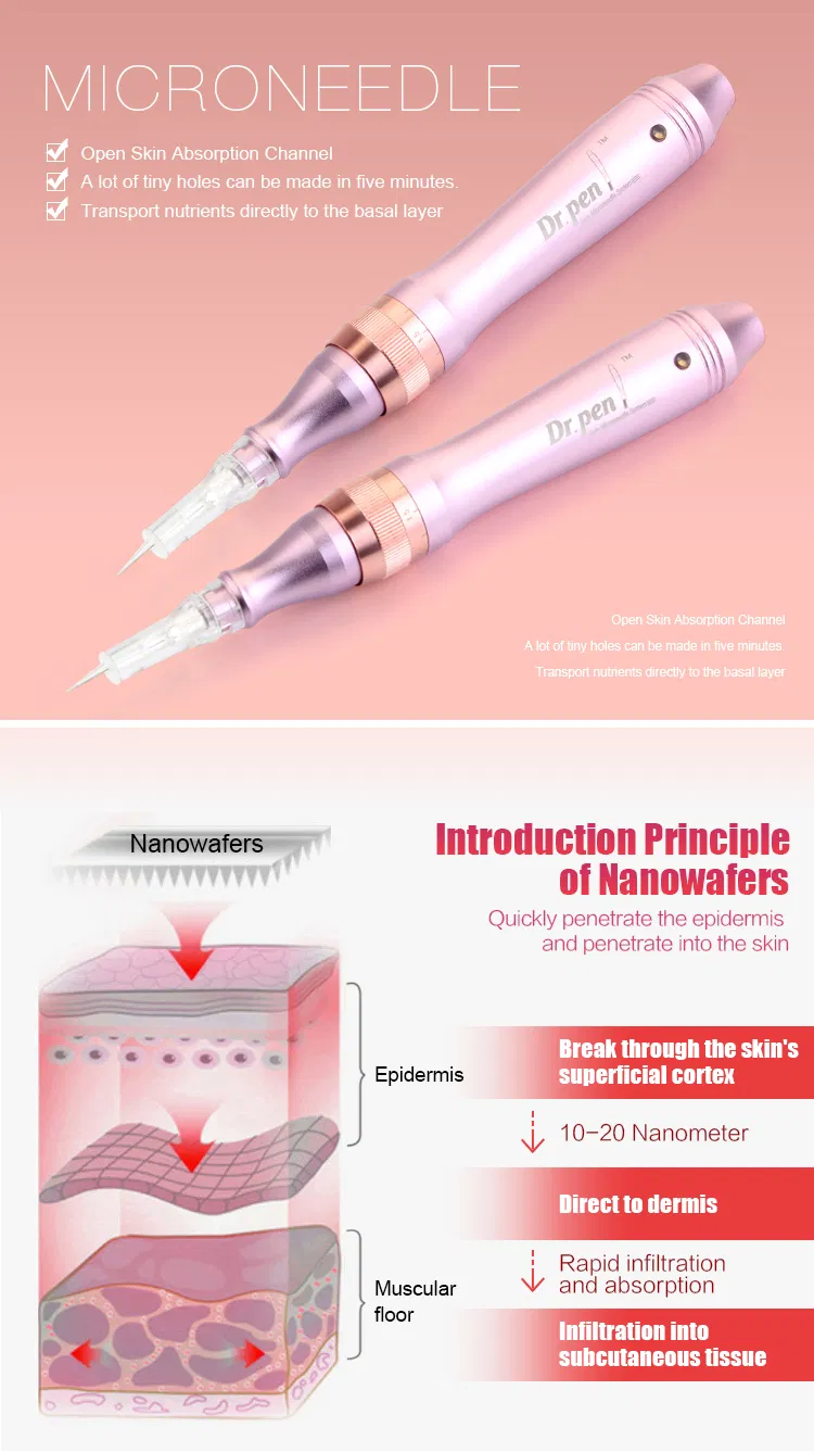 Most Popular Auto Mts Micro Needle Therapy System A6 Dr Pen for Cheecks Skin Rejuvenation Care