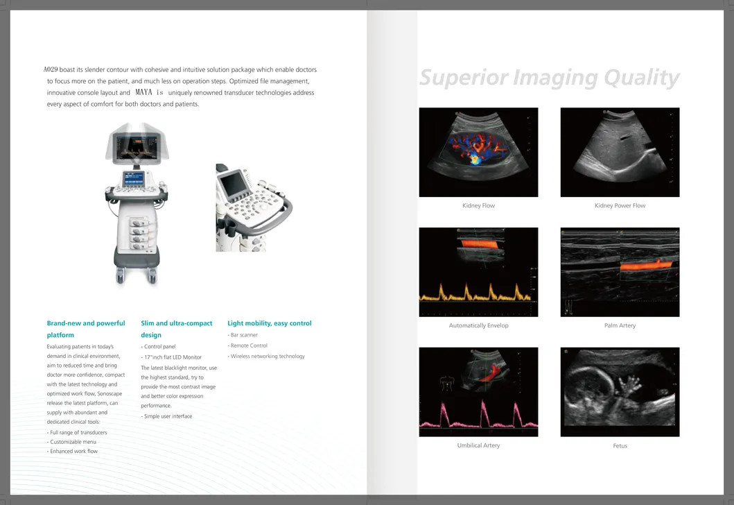 My-A029 (S22) Medical Equipment Color Doppler Ultrasound System Machine