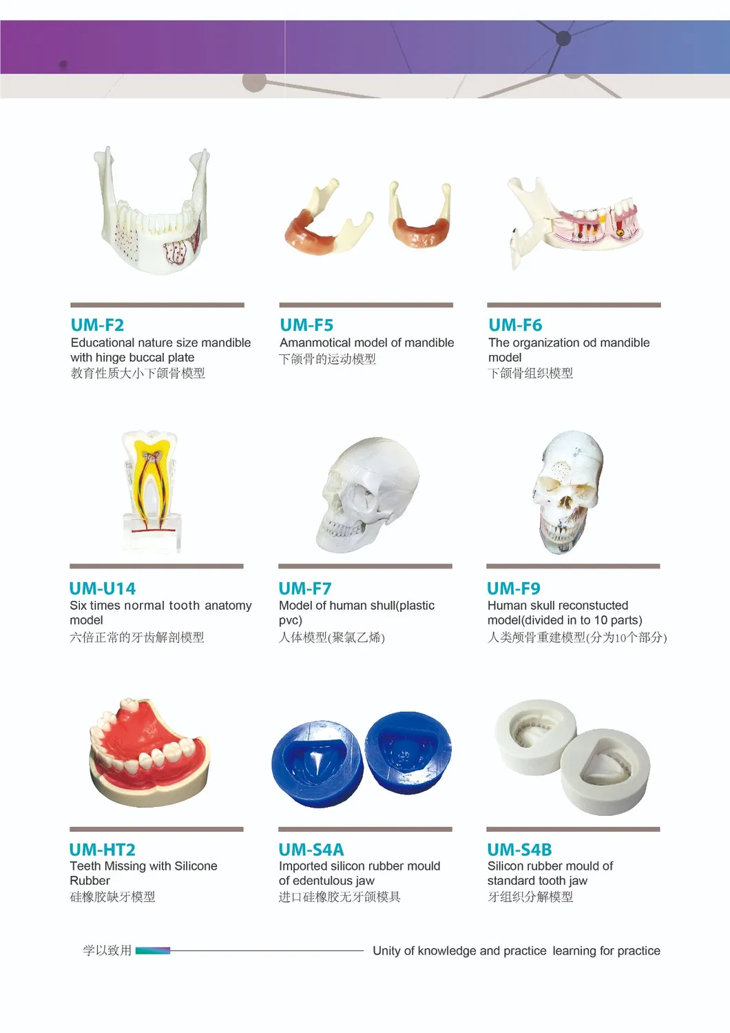 New Promotion Communication Teeth Model Implant with Clip Attachments