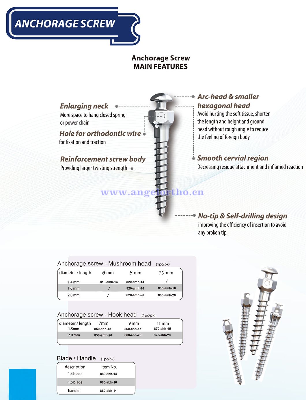 Orthodontic Mini Anchorage Screws