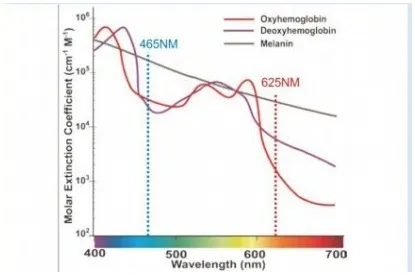 PDT/LED Beauty Equipment Skin Fresh Therapy Anti-Ageing Treatment
