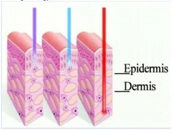 PDT/LED Beauty Equipment Skin Fresh Therapy Anti-Ageing Treatment